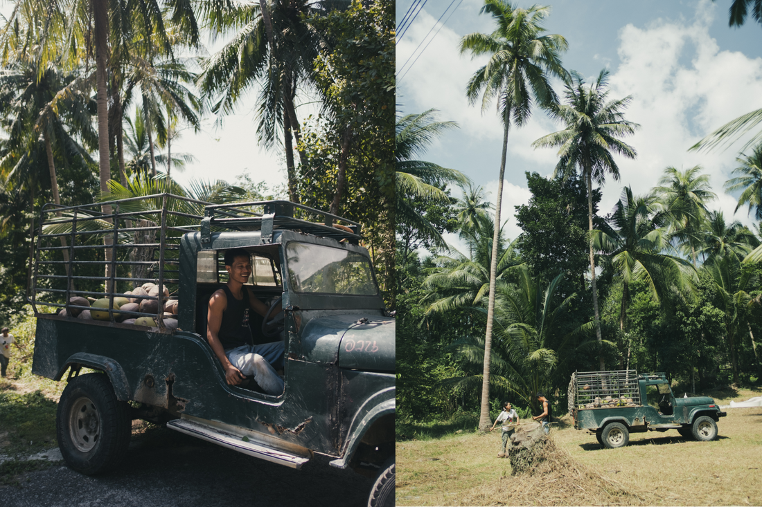 The Story: JEEP - the coconut couple